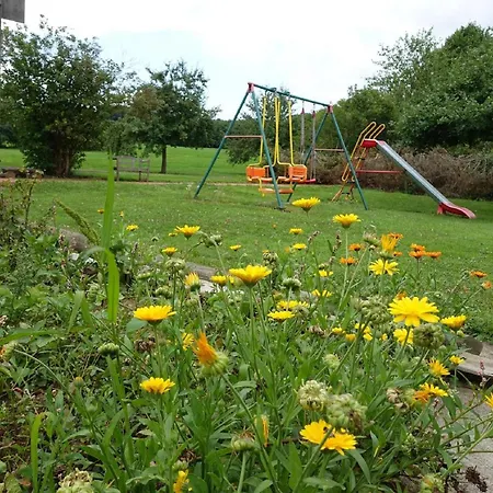 Mueller Am Nationalpark Hunsrueck-hochwald