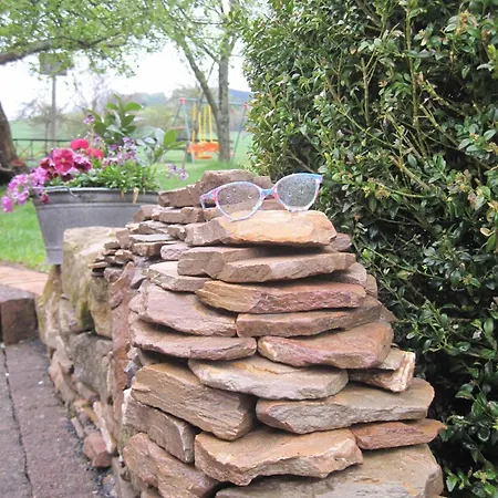 Mueller Am Nationalpark Hunsrueck-hochwald