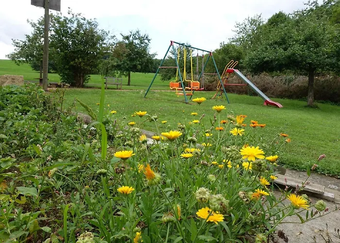 Mueller Am Nationalpark Hunsrueck-hochwald