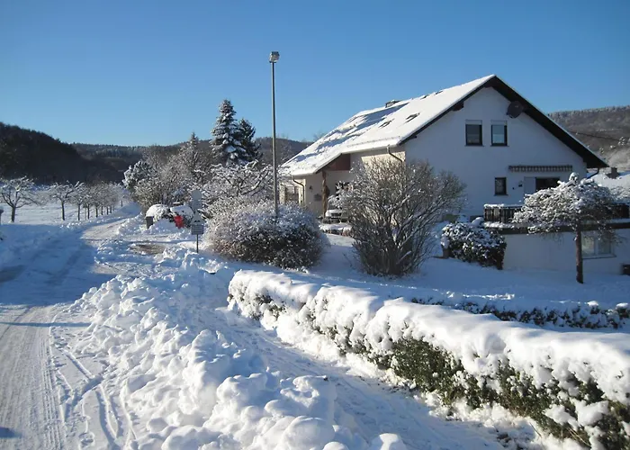 度假居 Mueller Am Nationalpark Hunsrueck-hochwald Schwollen