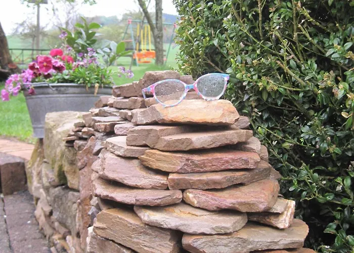 Mueller Am Nationalpark Hunsrueck-hochwald